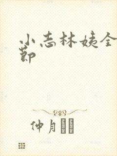 小志林姨全部章节