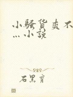 小骚货爽不爽……小说