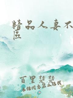 精品人妻不卡一区