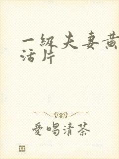 一级夫妻黄色生活片