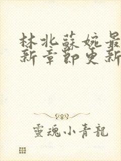 林北苏婉最新更新章节更新