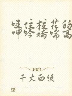 吸住校花的奶头呻吟娇喘高潮视频