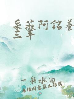 采薇阿铭养父陆三平