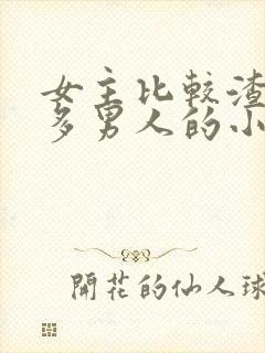 女主比较渣有很多男人的小说