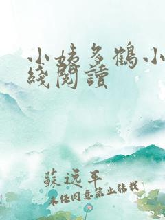 小姨多鹤小说在线阅读