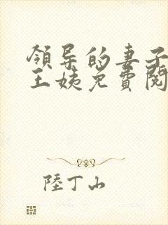 领导的妻子小说王姨免费阅读全文