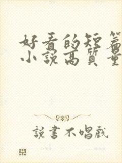 好看的短篇言情小说高质量文笔好