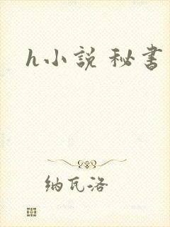 h小说 秘书
