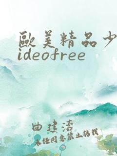 欧美精品少妇videofree