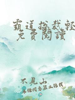 霸道总裁轻轻爱 免费阅读