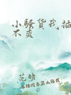 小骚货我插的爽不爽