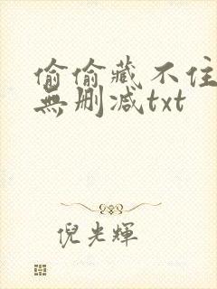 偷偷藏不住全文无删减txt
