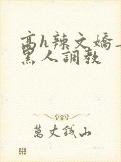 高h辣文娇妻被黑人调教