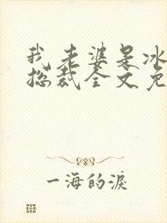 我老婆是冰山女总裁全文免费阅读