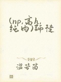 (np,高h,纯肉)师徒