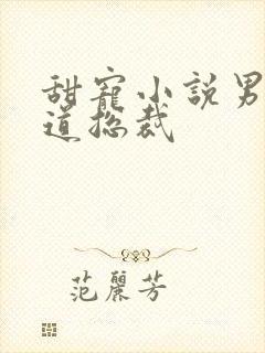 甜宠小说男主霸道总裁