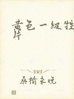 黄色一级牲生活片