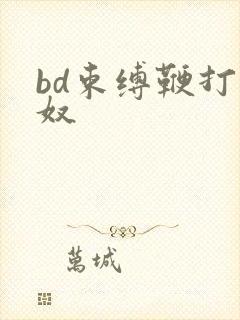 bd束缚鞭打乳奴