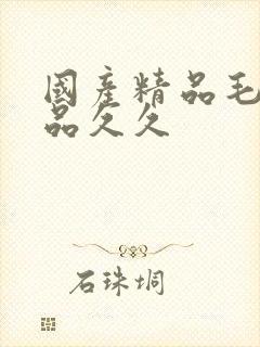 国产精品毛片极品久久