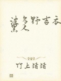 波多野吉衣大战黑人