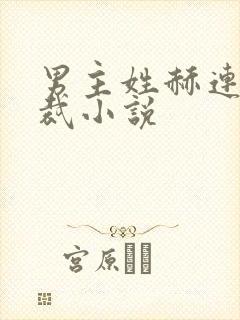 男主姓赫连的总裁小说