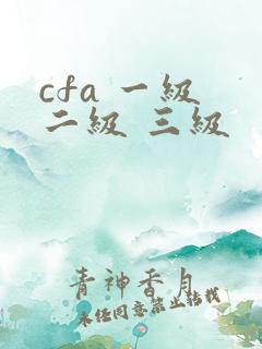 cfa 一级 二级 三级
