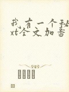我有一个秘密txt全文加番外