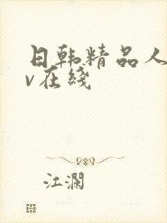 日韩精品人妻av在线