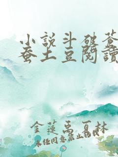 小说斗破苍穹天蚕土豆阅读