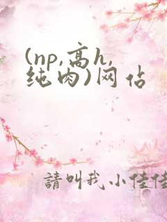 (np,高h,纯肉)网站
