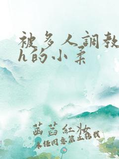 被多人调教失禁h的小柔