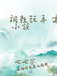 调教玩弄 高潮 小说