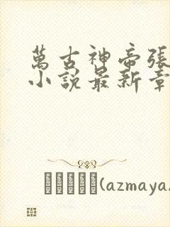 万古神帝张若尘小说最新章节阅