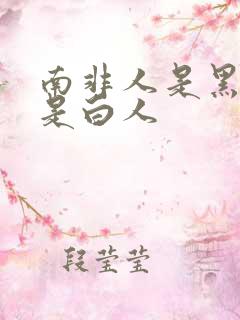 南非人是黑人还是白人