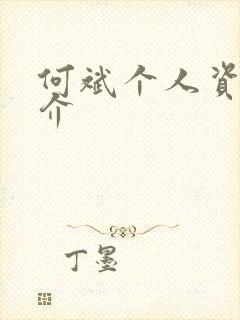 何斌个人资料简介