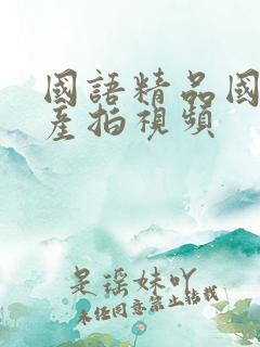 国语精品国内自产拍视频