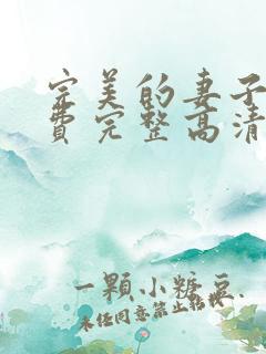 完美的妻子4免费完整高清电视剧在线看