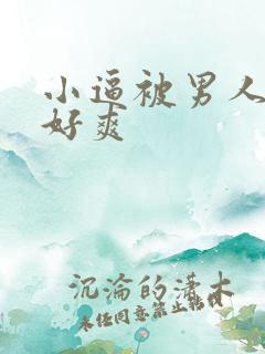 小逼被男人操翻好爽