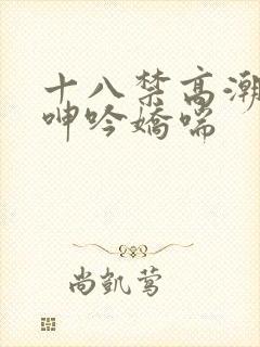 十八禁高潮出水呻吟娇喘