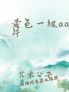 黄色一级aaa片