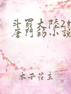 斗罗大陆2绝世唐门的小说