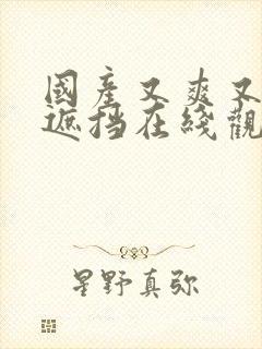 国产又爽又黄无遮挡在线观看