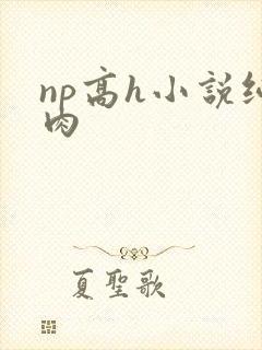 np高h小说纯肉