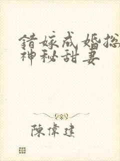 错嫁成婚总裁的神秘甜妻