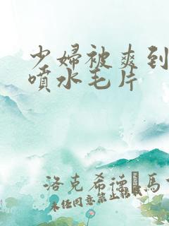 少妇被爽到高潮喷水毛片