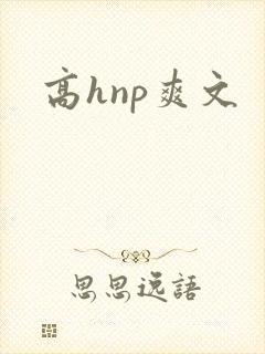 高hnp爽文