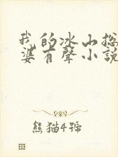 我的冰山总裁老婆有声小说