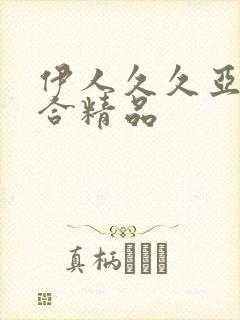 伊人久久亚洲综合精品