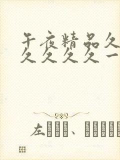 午夜精品久久久久久久久一区二区