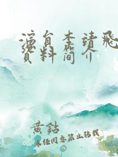 演员李靖飞个人资料简介